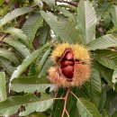 재철농장 이미지