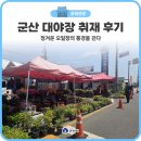 이야기가 있는 풍경 | 군산 대야장 취재 후기 정겨운 오일장의 풍경을 걷다
