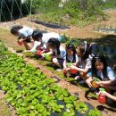 사창농장 이미지