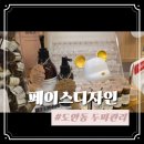 도안동 두피관리 헤어라인 비침 잡아주는 밀도개선케어 상담 후기