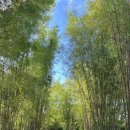 타이어신발보다싸다 이미지