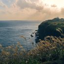 움오름 게스트하우스 | 혼자 떠나는 여행 13번째 : 제주도, 바람의 섬에서 나를 찾다