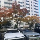 미래카부분정비 | 그랜저 GN7 장기렌트 5개월 찐후기(feat. 에이원렌트카 다산점 정현호 과장님)