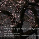 문화유산 사색(寫色) 350년의 향기, 장성 백양사 고불매_선(線)-최용백 사진전 이미지