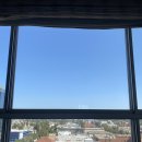 배트독 | 엘에이 여행 Day 3 | USC 빌리지, 타코 맛집, 알라모 렌터카, LA 다저스 다저 스타디움 경기 직관 후기 ⚾️