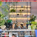 관아골 | [충주 카페] ‘관아골 하이라이트’ 방문 후기｜분위기부터 핸드드립·충주라떼·착즙주스까지