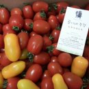 노화농장 이미지