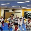 국가대표 올림픽 태권도장 이미지