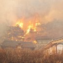 정부, &#39;산불 확산&#39; 경상권 재난 선포...의성 운람사 전소 이미지