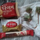 재재언니 네이버블로그