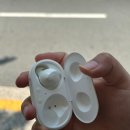 고양이미용사 임서영 | “우당탕탕 수달씨의 미용 대작전”