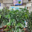 소문난동네맛집 이미지