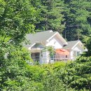 숲속의 하얀집 이미지