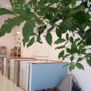 제이 그루밍 이미지