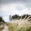 태흥목장 이미지