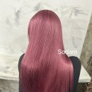 딥센느 네이버블로그
