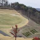 도군로-2 이미지