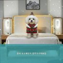 광주가구단지 콩테 도소매단지 광주가구백화점 합리적인 가격으로 프리미엄 가구를 경험해보세요