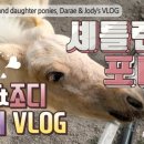 다래ENG 이미지