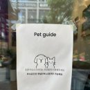 베이글펫 이미지