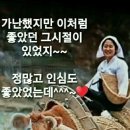 무괴아심 이미지