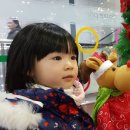 천마인터내셔널 이미지