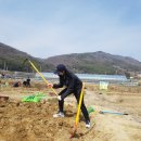 원찬농장 네이버블로그
