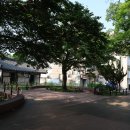 사람과나무 이미지