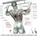 V10휘트니스 이미지