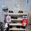 냥 | [고양이카페후기] 냥보고심쿵(수원 고양이 카페, 영업시간, 위치, 가격, 주차 등)