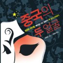 중국의 두 얼굴(2008)