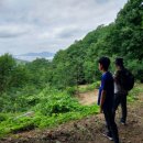 청계 맑은숲공원 이미지