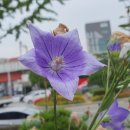 온천점 현대자동차 이미지