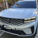 경남무도장 | 부산 남구 남천동 글루덴트 르노 클레오스 C필러 복원 후기