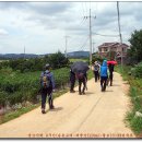 천일솔라1태양광발전소 이미지