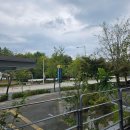 씨유남동NIC점 | k리그 포항스틸러스 vs 대전하나시티즌 대전 월드컵경기장 원정 직관 후기 (편의점, 주차, 좌석 등)