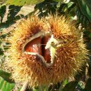 부운농장 이미지