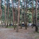 흥터입구 이미지