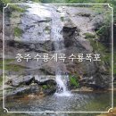 사방하천 | 충주 여행 수룡계곡 수룡폭포 용이 승천했다는 보련산 줄기 트레킹 코스 국내여행지 추천