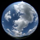 복순이네 이미지