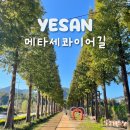 치유의숲 공중화장실 | 충남 예산 메타세콰이어길 치유의숲 억새밭 포토존
