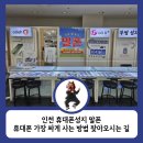 말폰 이미지