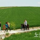 농업회사법인 연호 주식회사 이미지