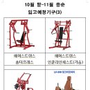 다미트짐 세류점 이미지