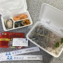 싱싱한 횟감 경주 가성비 횟집 감포 가볼만한곳 부부수산 포장 후기
