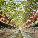 화동축산 이미지