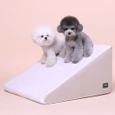 초코펫하우스