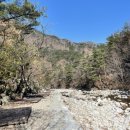 진고개계곡야영장 이미지