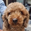 번영2로 이미지