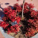 강나루체육공원 이미지